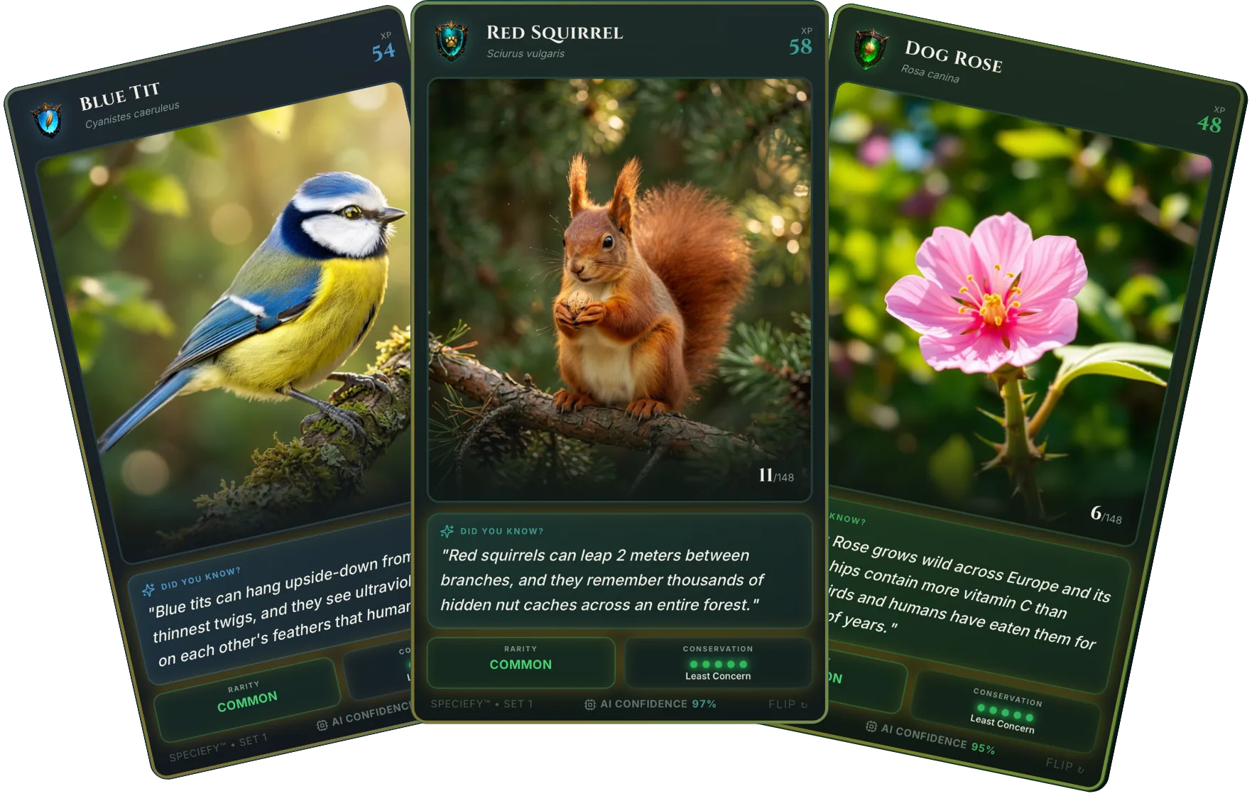 Collected species cards